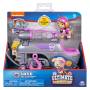 2018-joppe-paw-patrol-skye.jpg