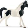 2020-eline-schleich_13840.jpg