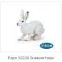 2020-wout-sneeuwhaas.png
