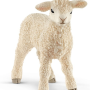 2021-eline-schleich_13883.png