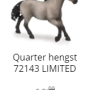 2021-wout-schleich13.png