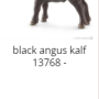 2021-wout-schleich3.png