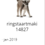 2021-wout-schleich6.png