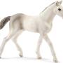 2022-lena-schleich_veulen_holstein.jpg