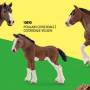 2023-lena-schleich-clydesdale.jpg